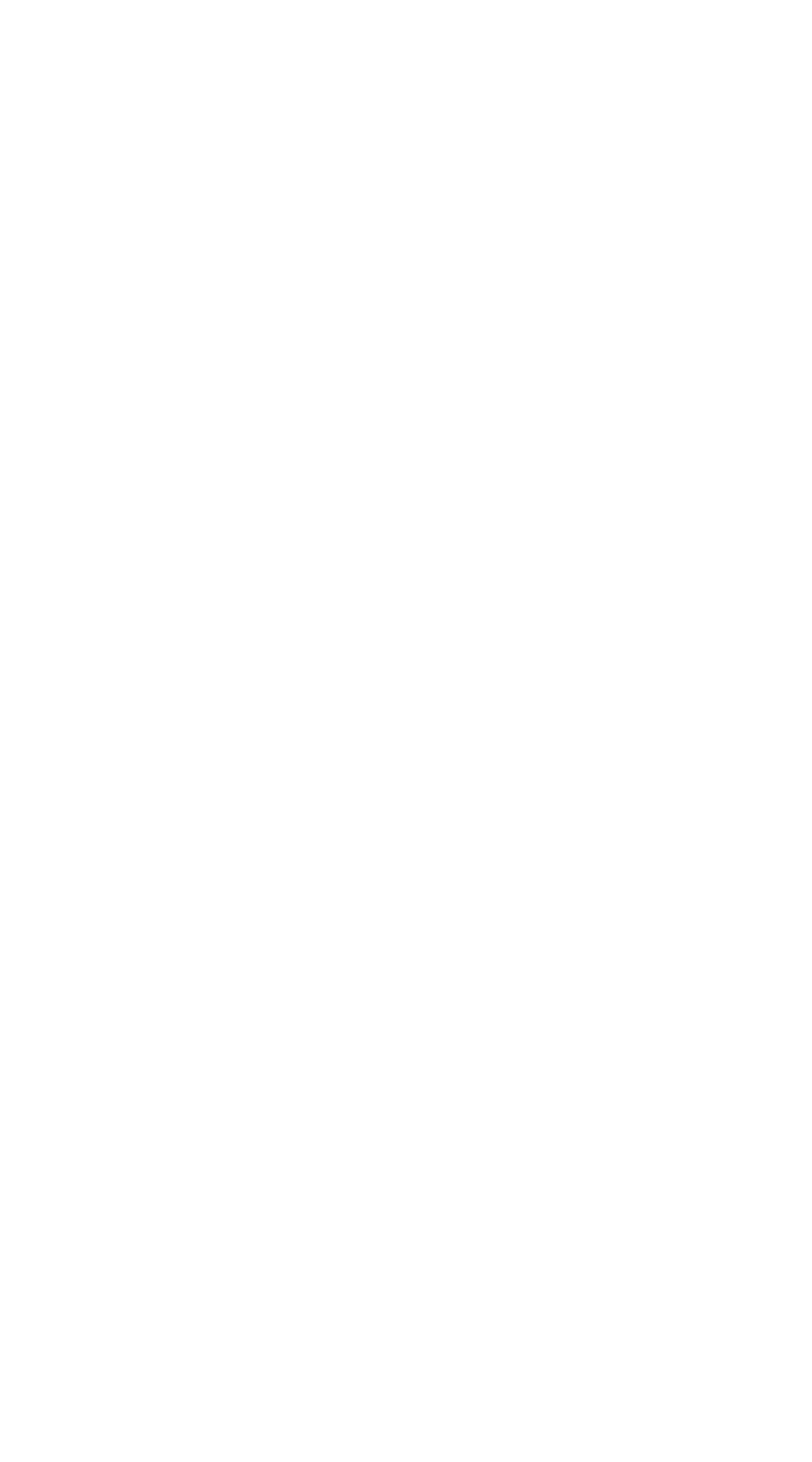 sección anterior